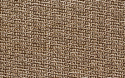 ASPEN Pecan 12004-05