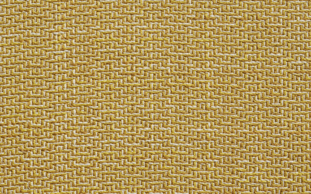 ASPEN Canary 12004-06