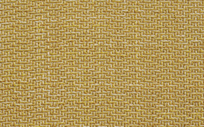 ASPEN Canary 12004-06