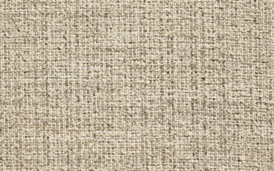 CANOPUS Ivory 10006-01