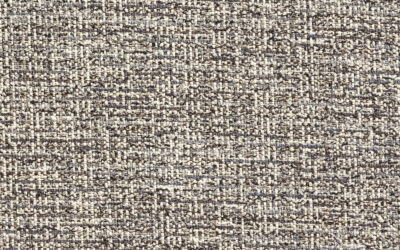 CANOPUS Porpoise 10006-05