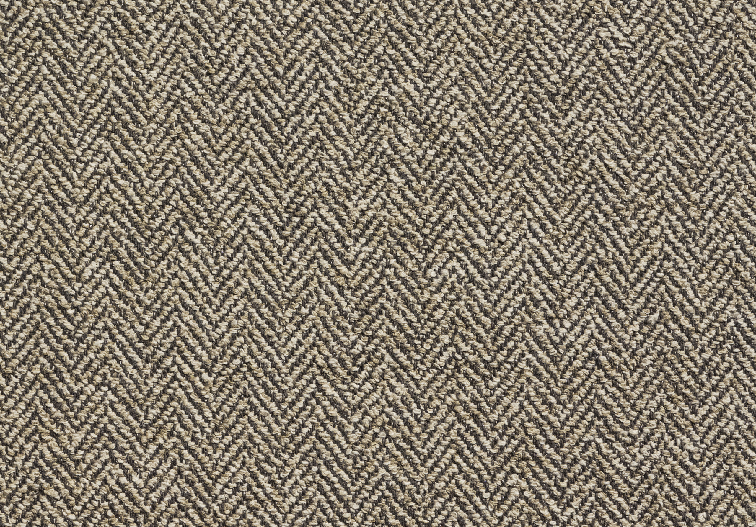 CARINA Brownish 10011-02