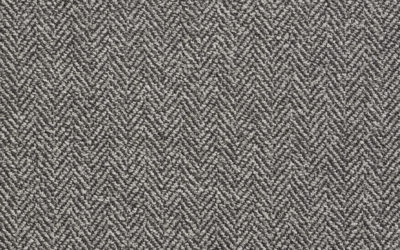 CARINA Grey 10011-04