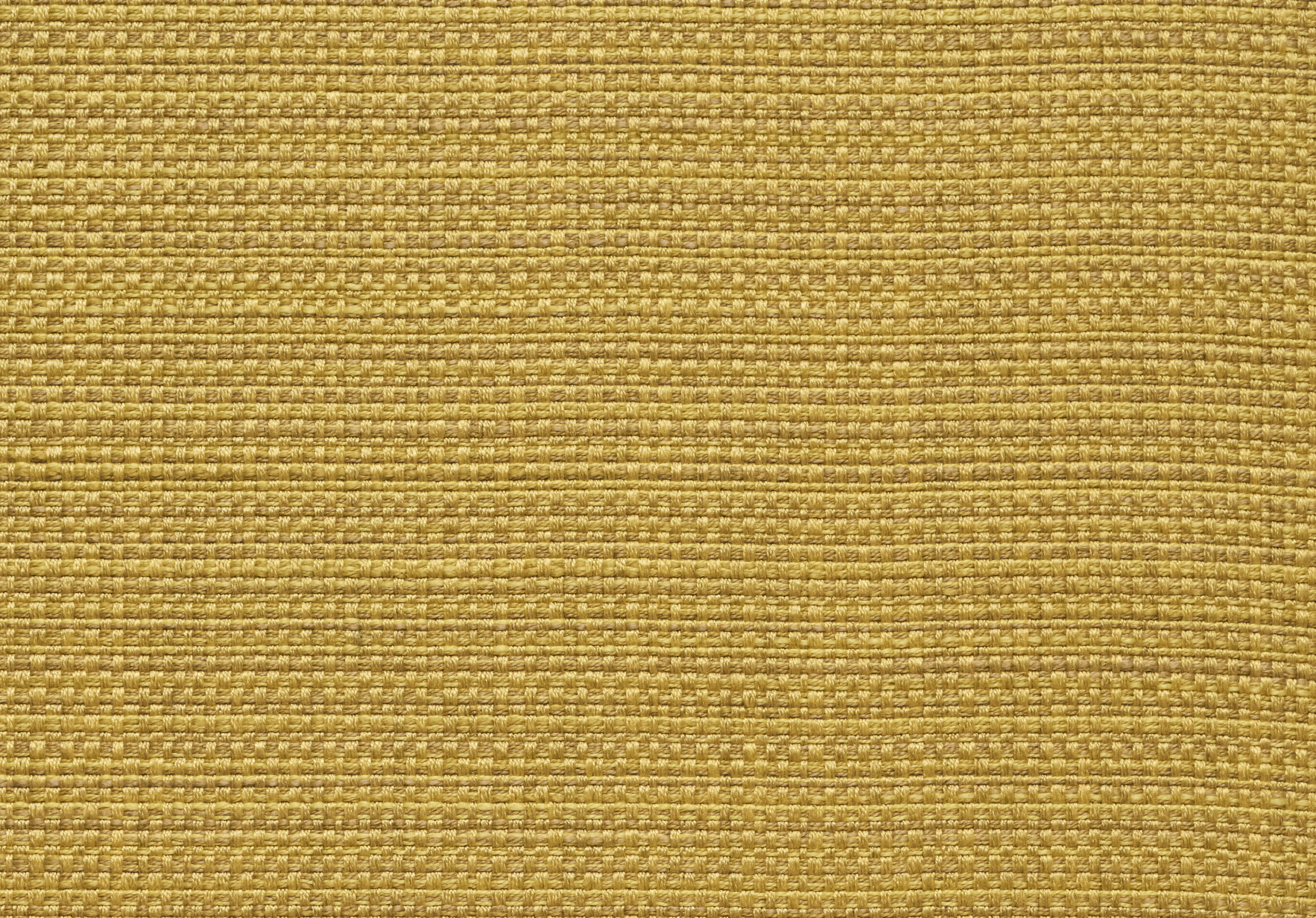 LAUREL Mustard 12002-09