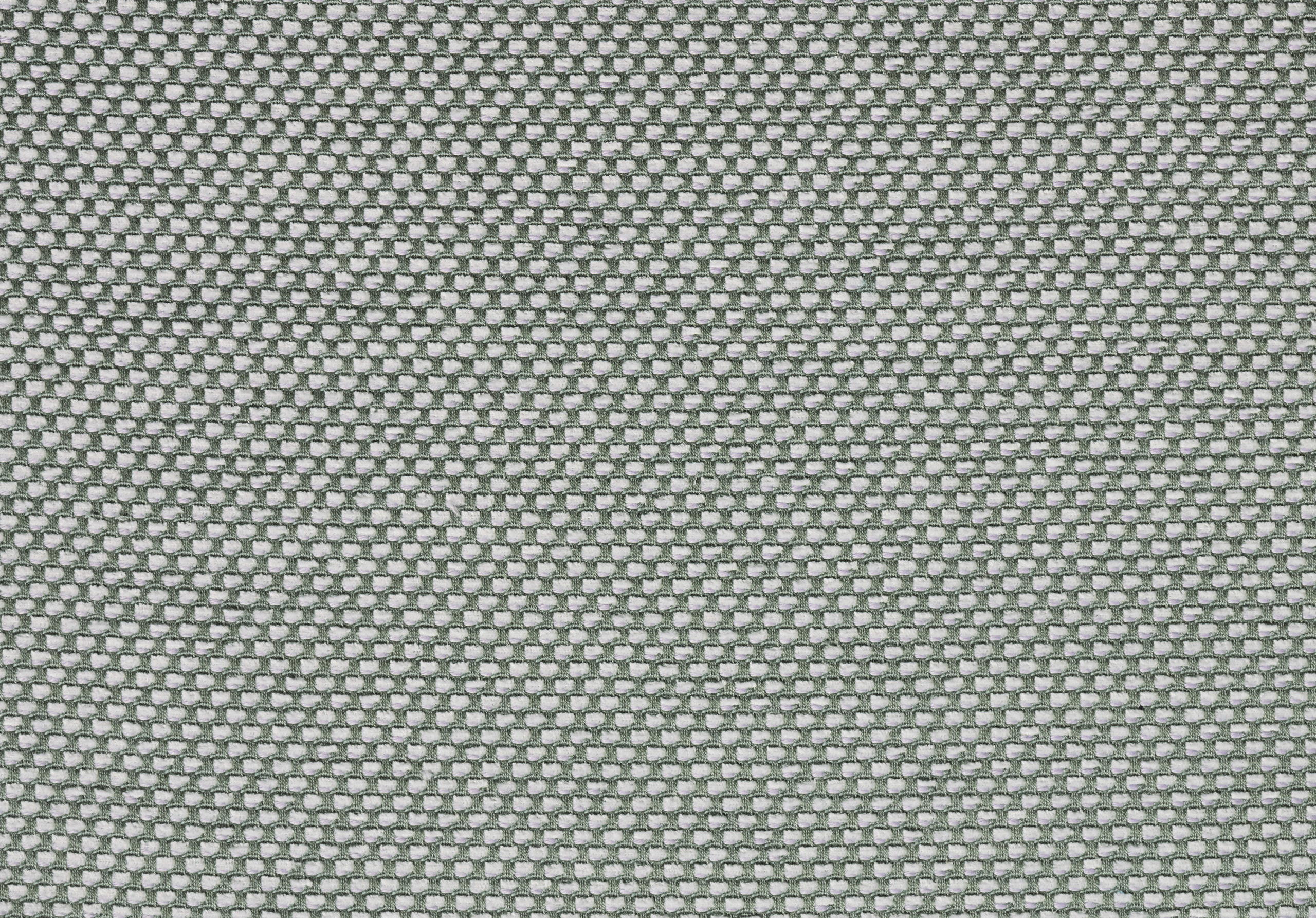 MIMOSA Lavender 12006-12