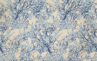 MOOREA Blue 10012-02