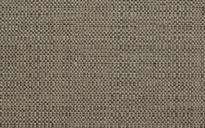 OSCAR Fossil 10003-05