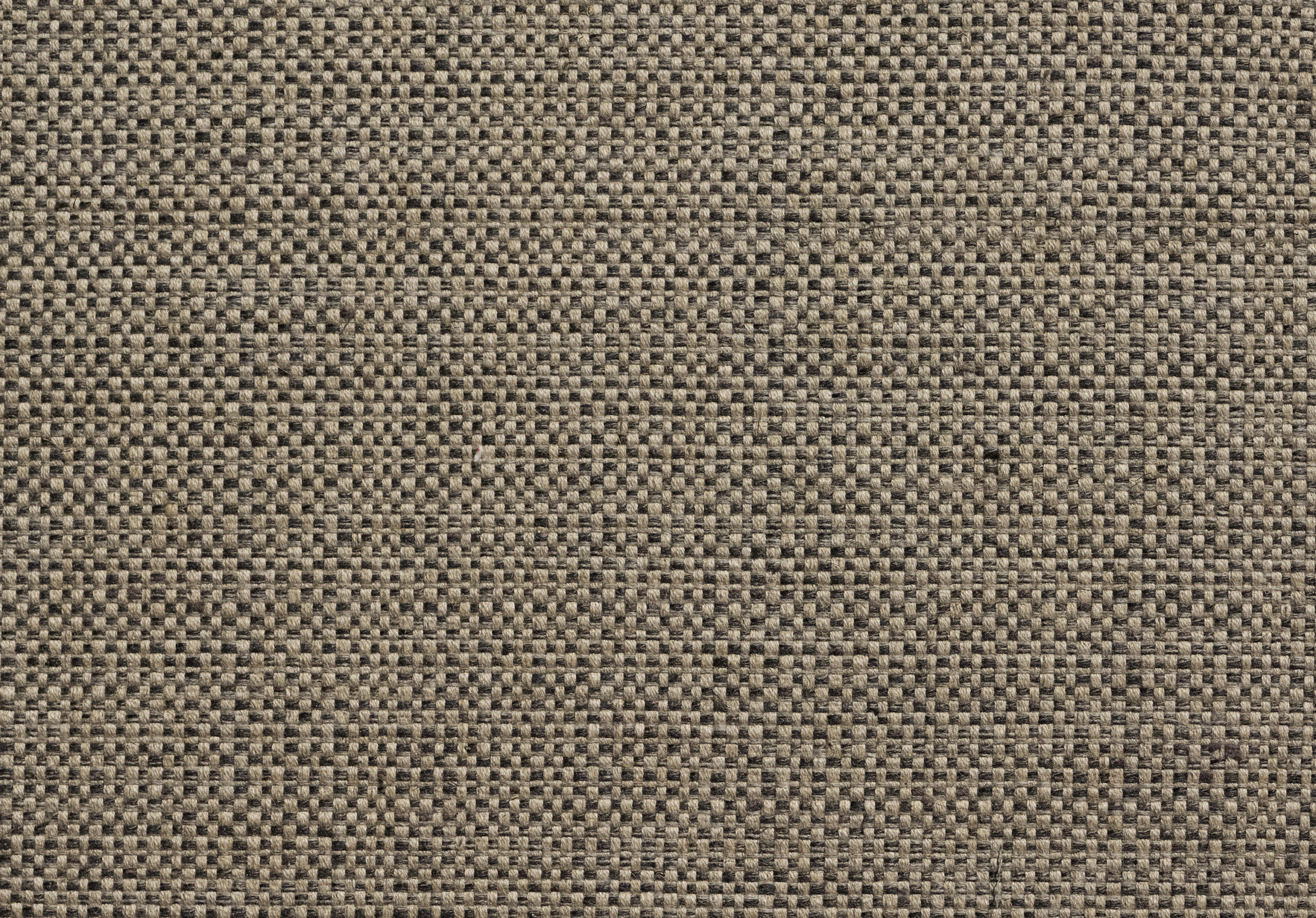 OSCAR Fossil 10003-05