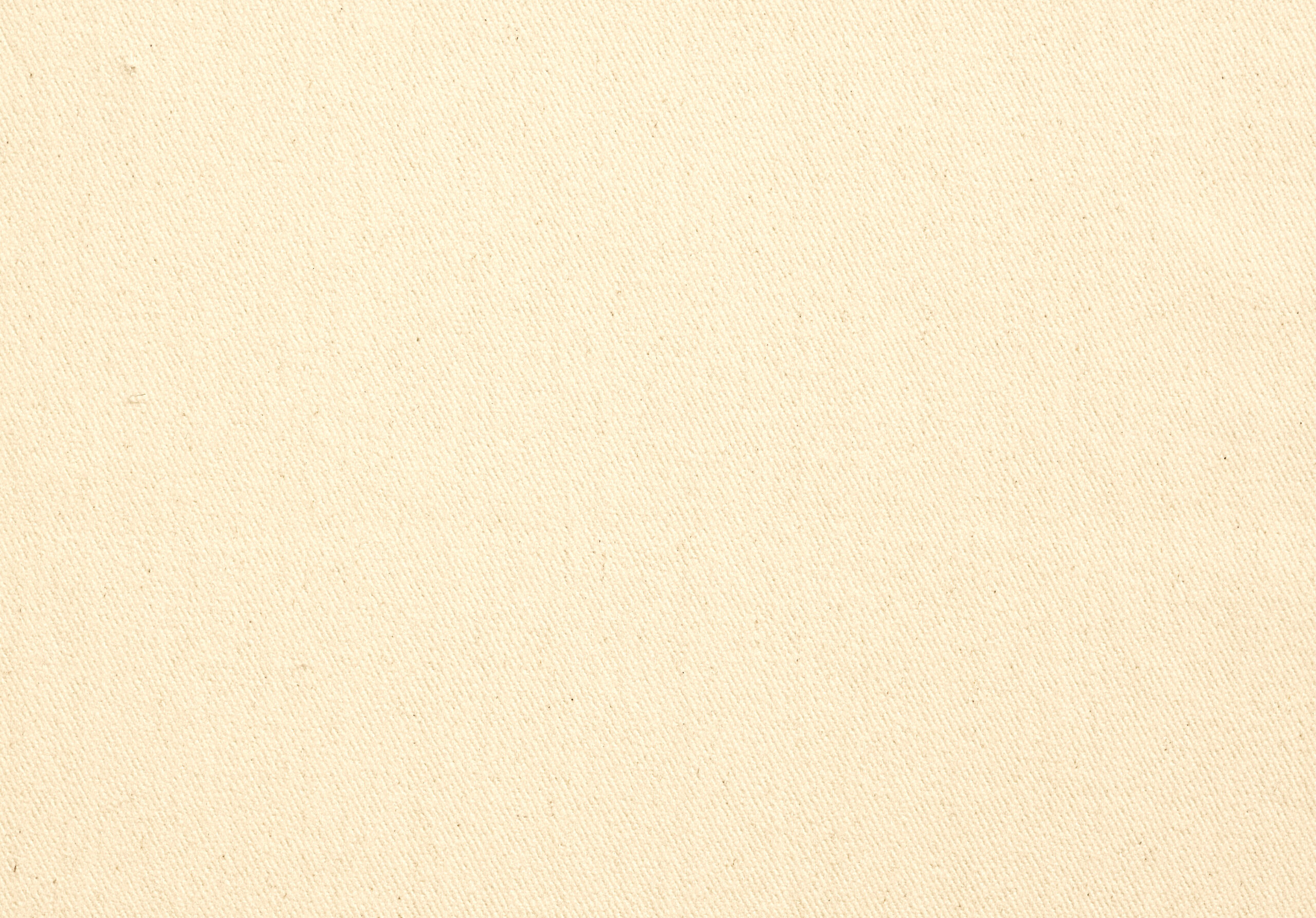 VEGA Ivory 10001-01