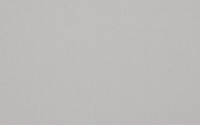 VEGA Smog 10001-07