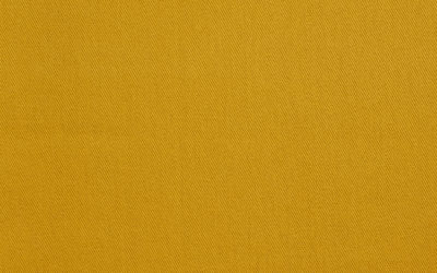 VEGA Mustard 10001-13