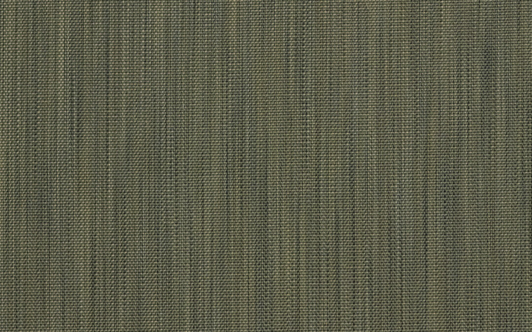 YUCCA Cactus 12001-02