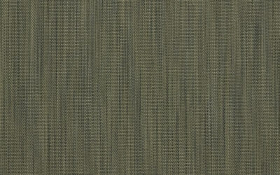 YUCCA Cactus 12001-02